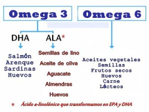 acidos grasos omega 3 y 6 (2)