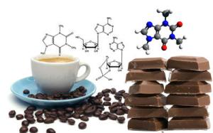 chocolate y cerebro 1