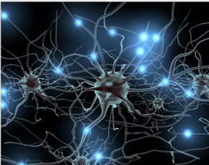 imagemain_neurons[1]_redimensionar