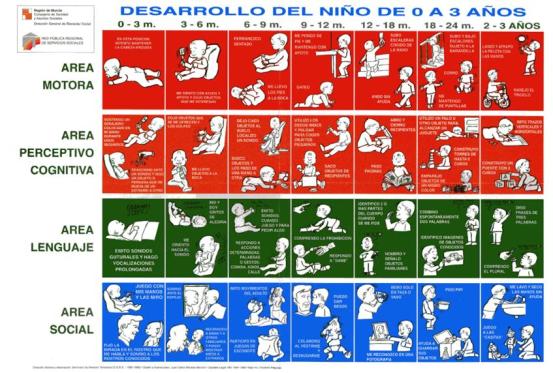 desarrollo niño