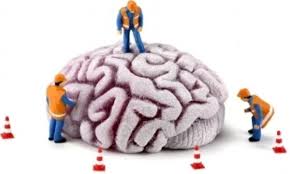 Resultado de imagen de rehabilitación neurológica